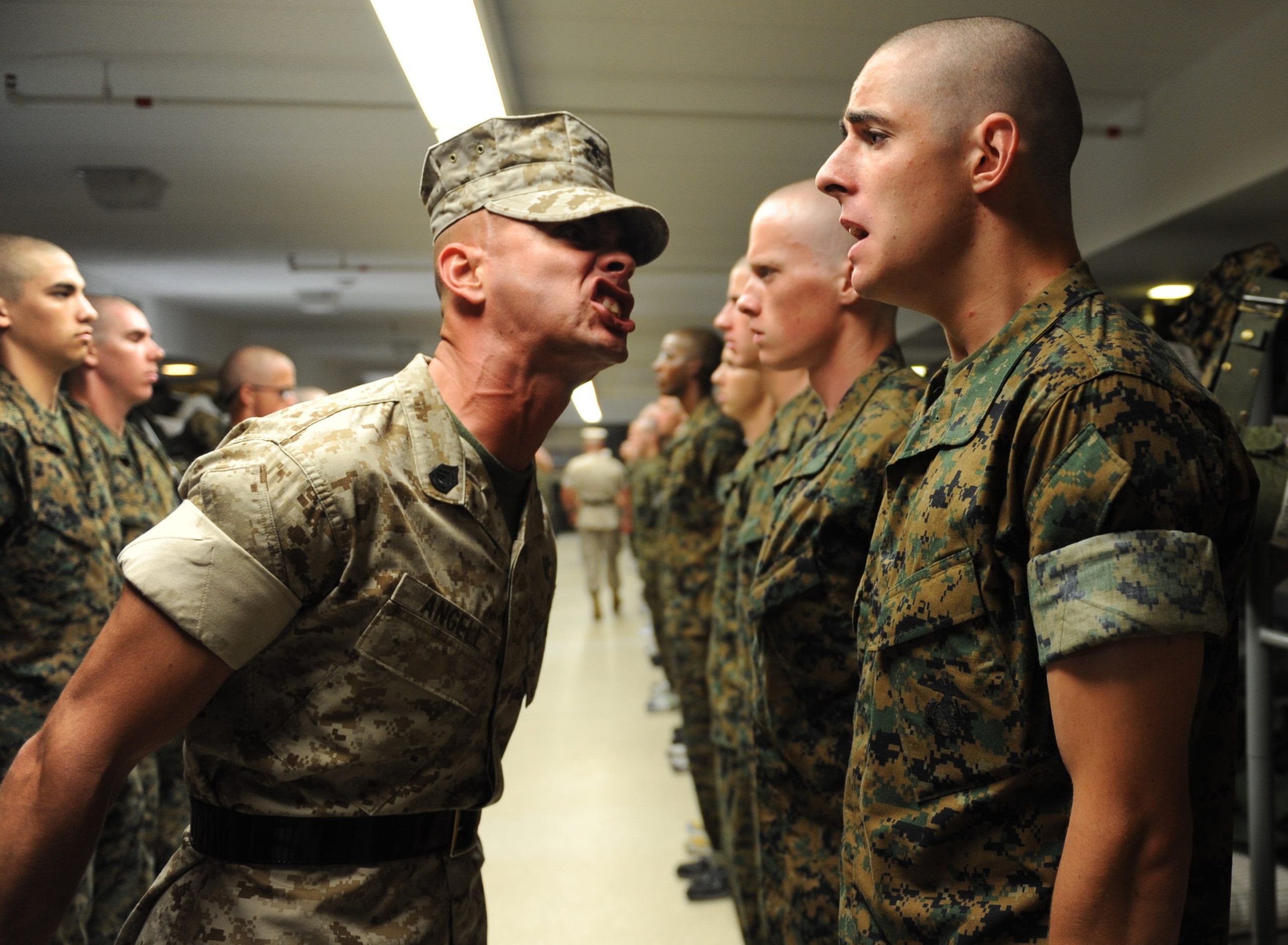 army-authority-drill-instructor-group-280002 army-authority-drill-instructor-group-280002