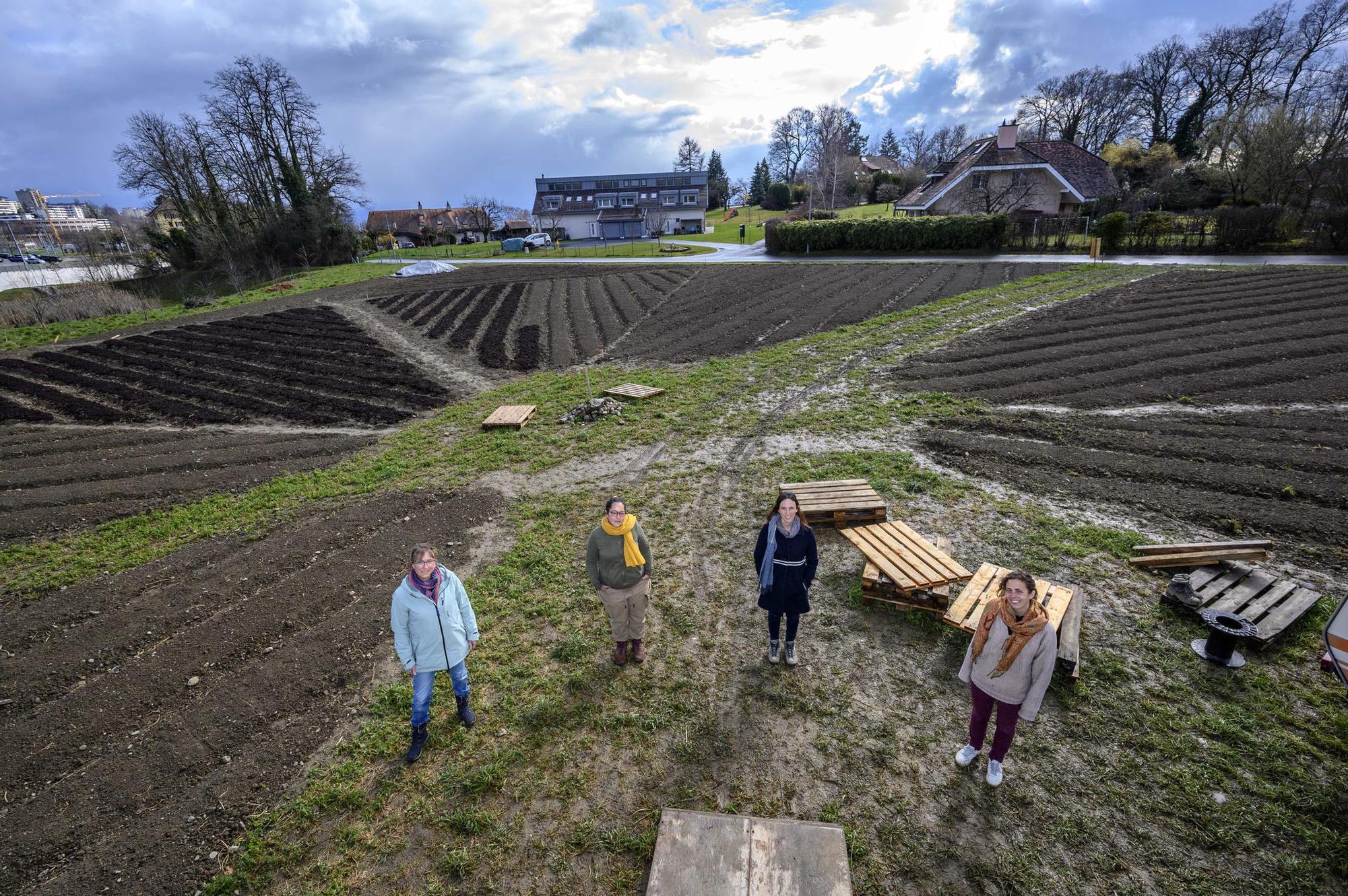 Vue aérienne des champs de la coopérative de la mule